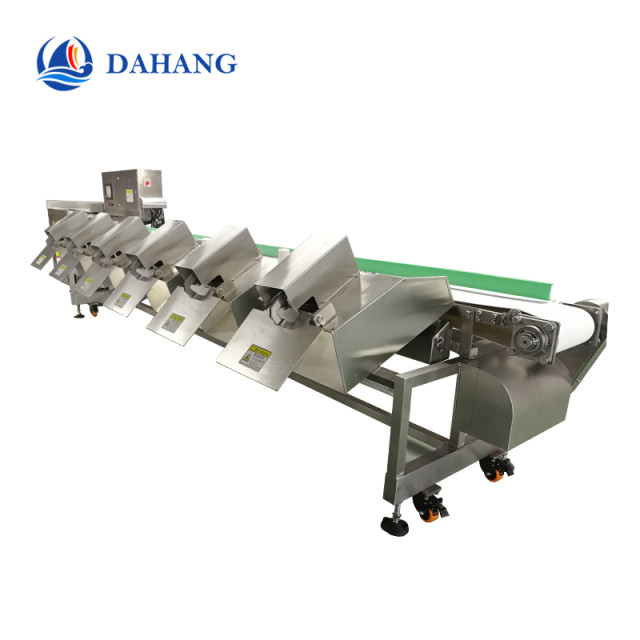 equidistant feeding and grading machine for oyster