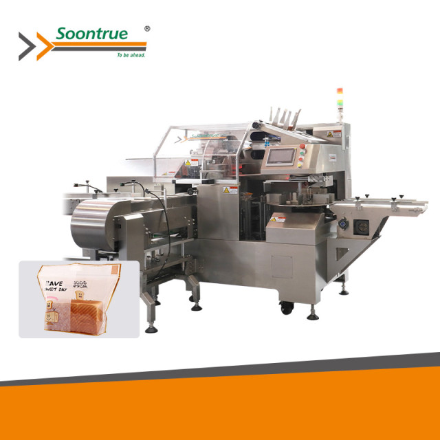 TD-200A Horizontal Premade Pouch Packing Machine
