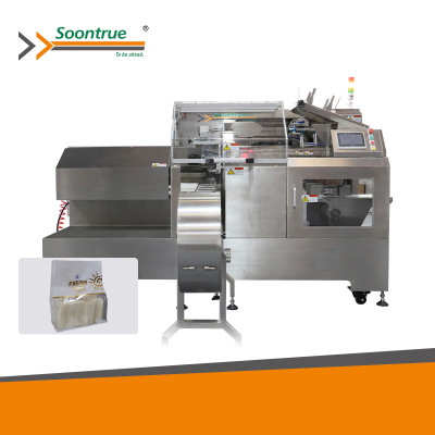 TD-300A Horizontal Premade Pouch Packing Machine