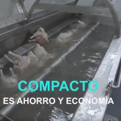 CHICKEN VIDEO - POULTRY COMPACTO - CONTAINER PROCESSING - TEKPRO